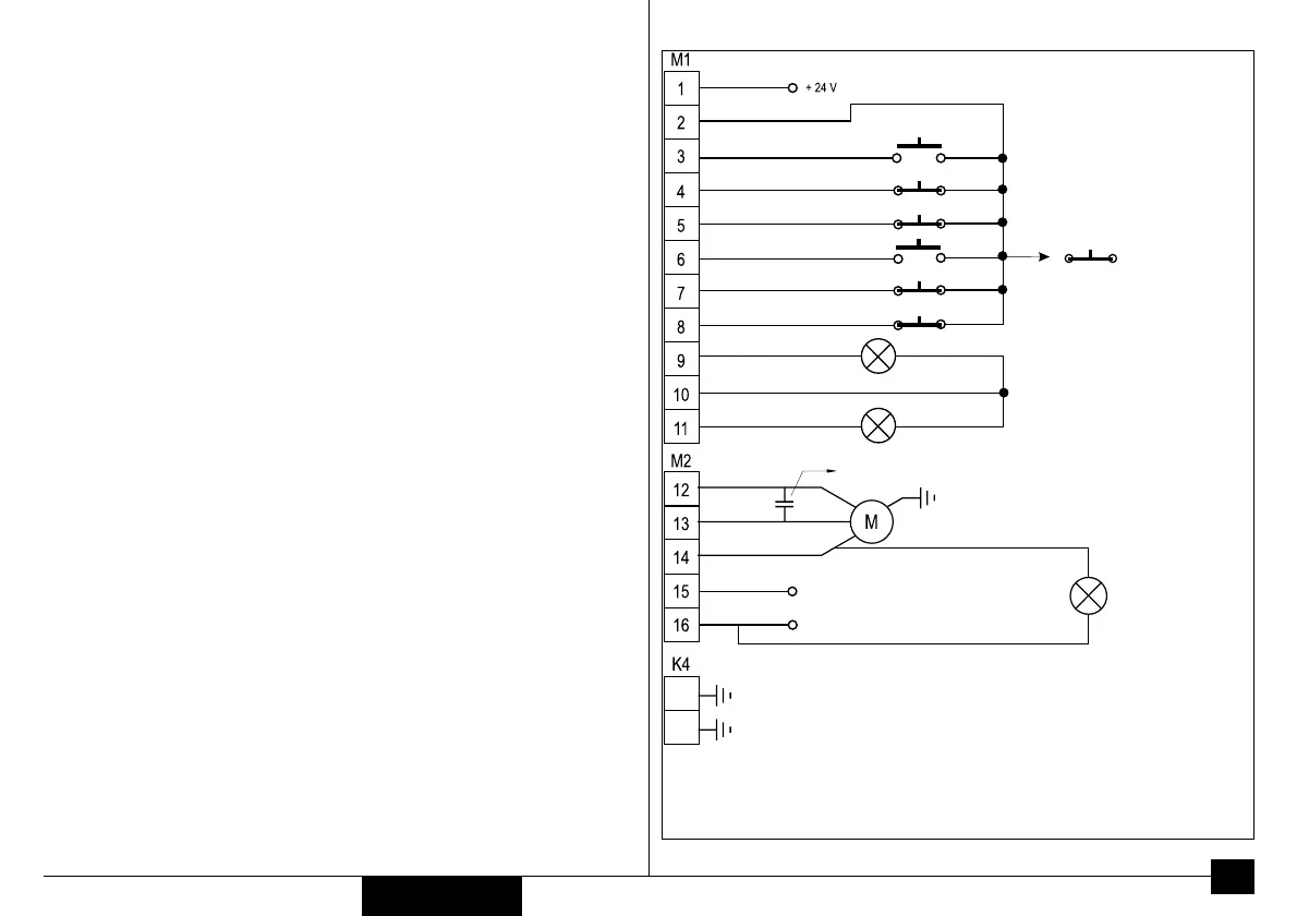 Page #17 background image