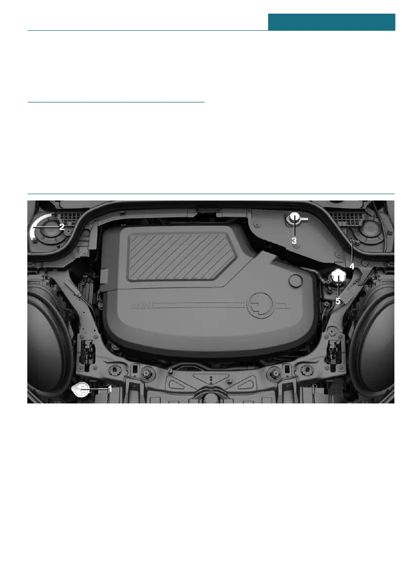 Page #243 background image