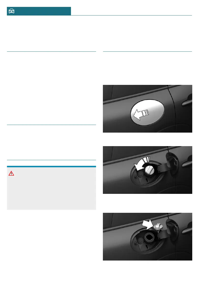 Page #256 background image