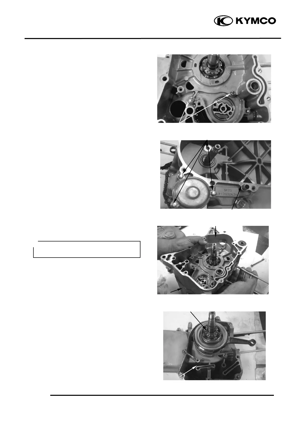 Page #224 background image