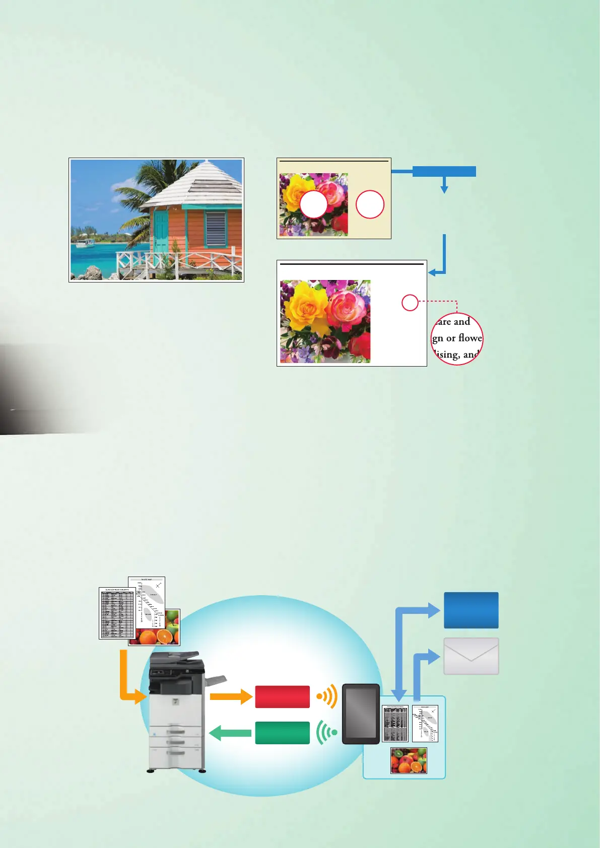 Page #3 background image