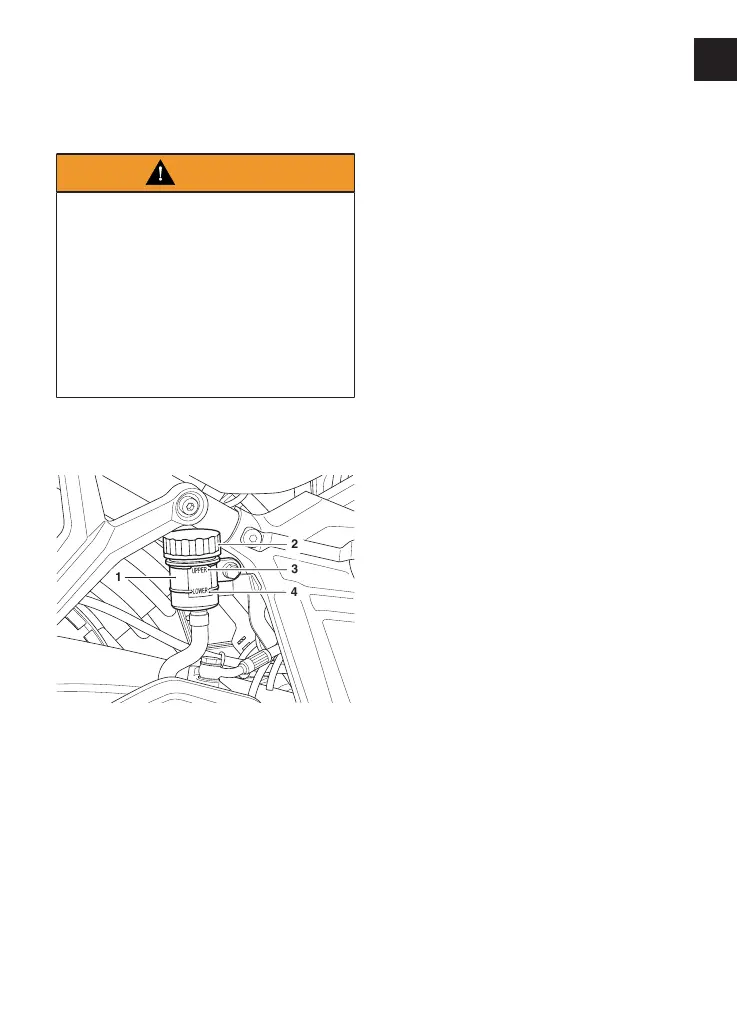 Page #119 background image