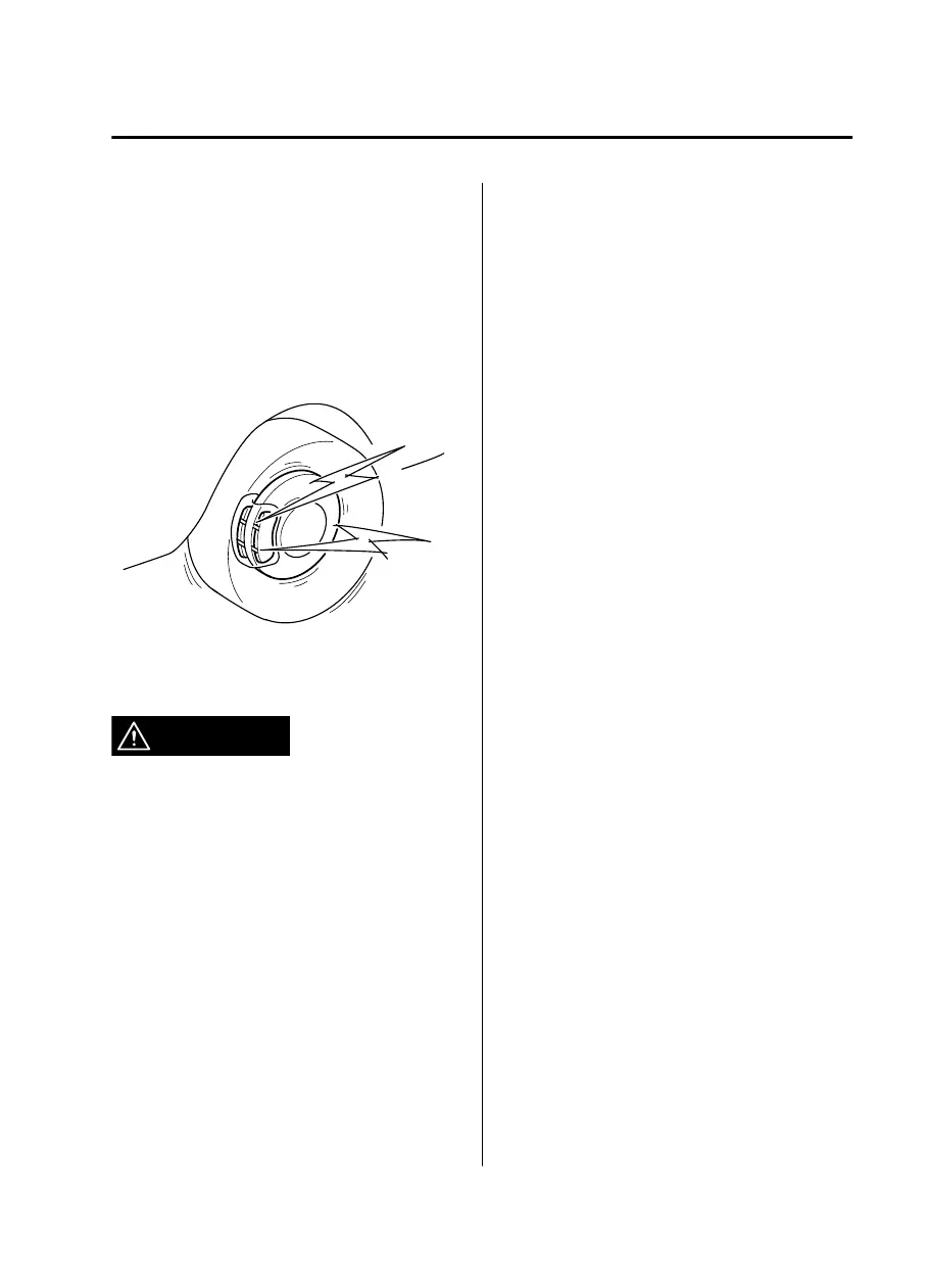 Page #261 background image
