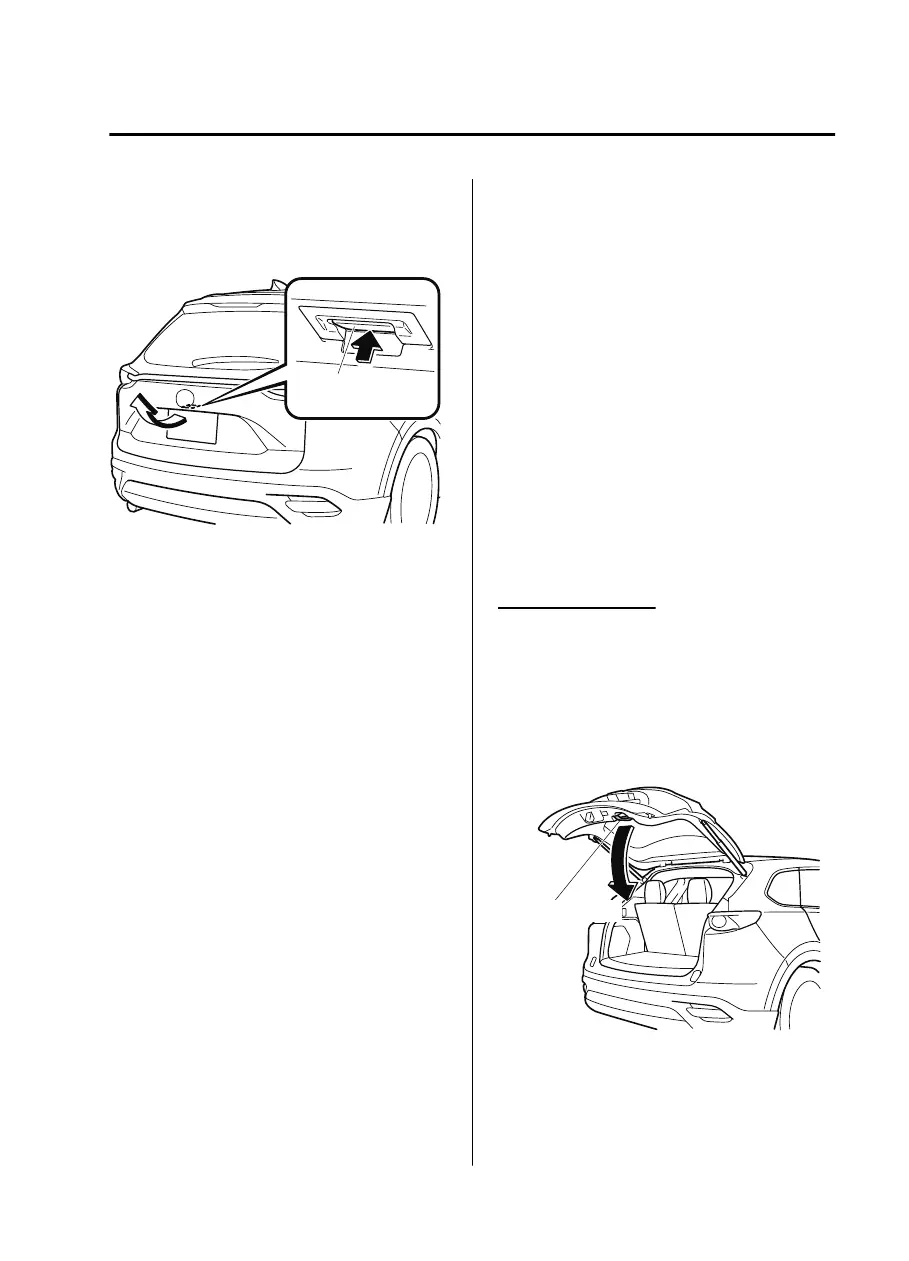 Page #121 background image