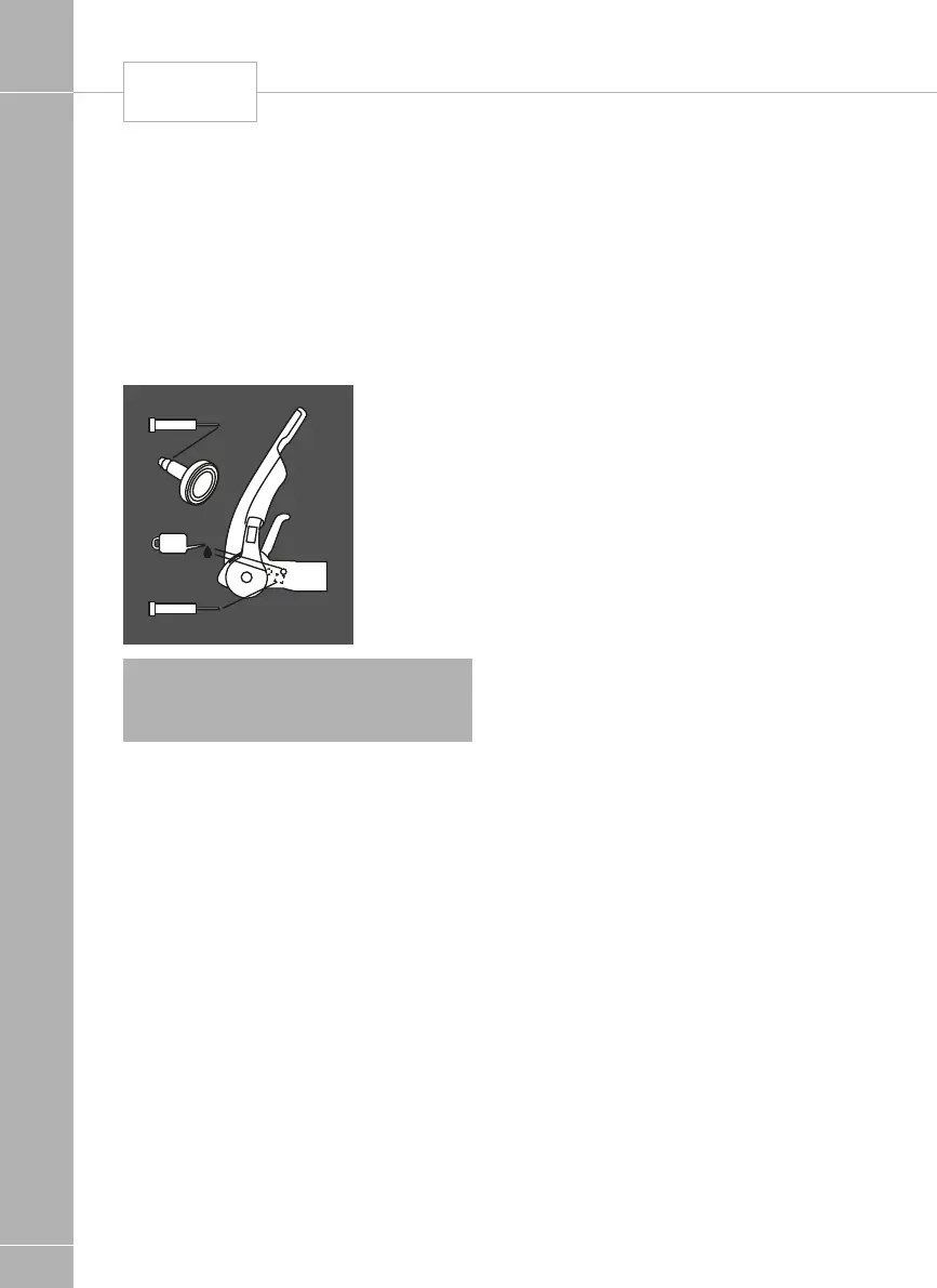 Page #223 background image