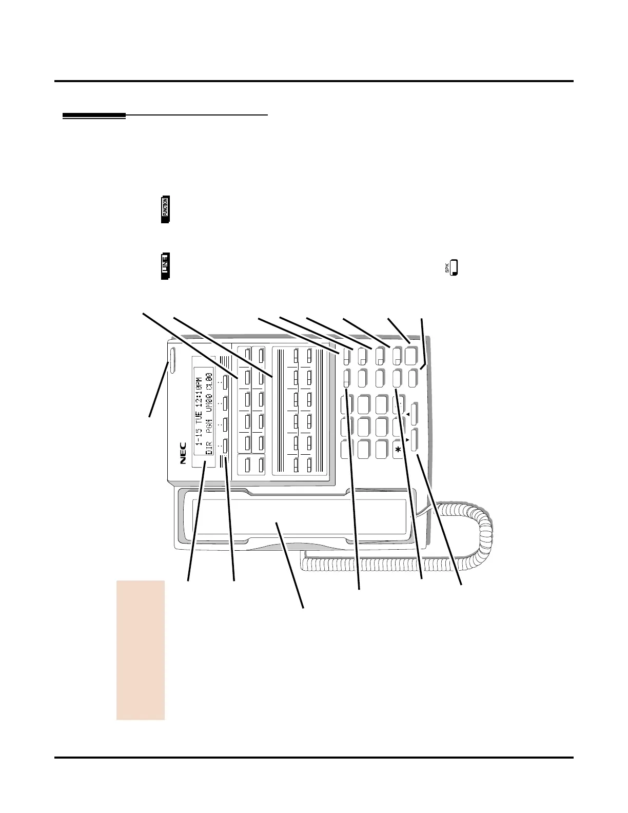 Page #13 background image
