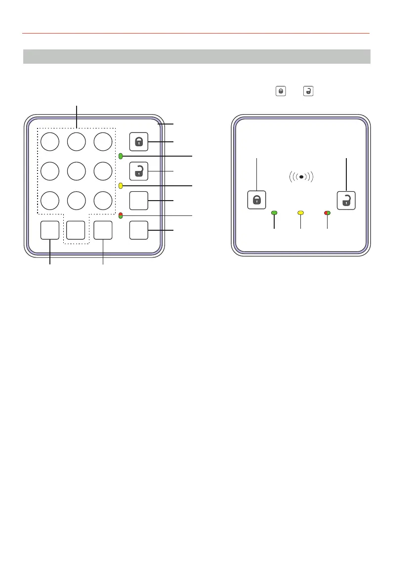 Page #6 background image