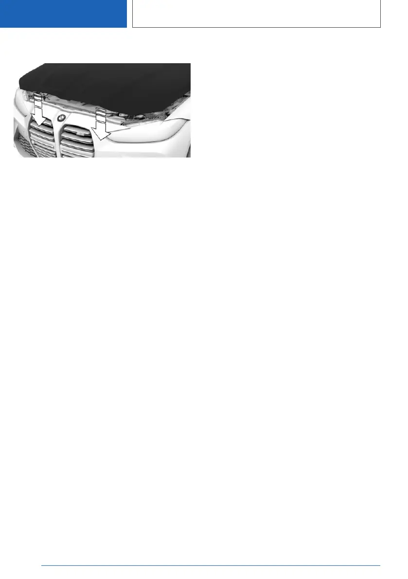 Page #342 background image