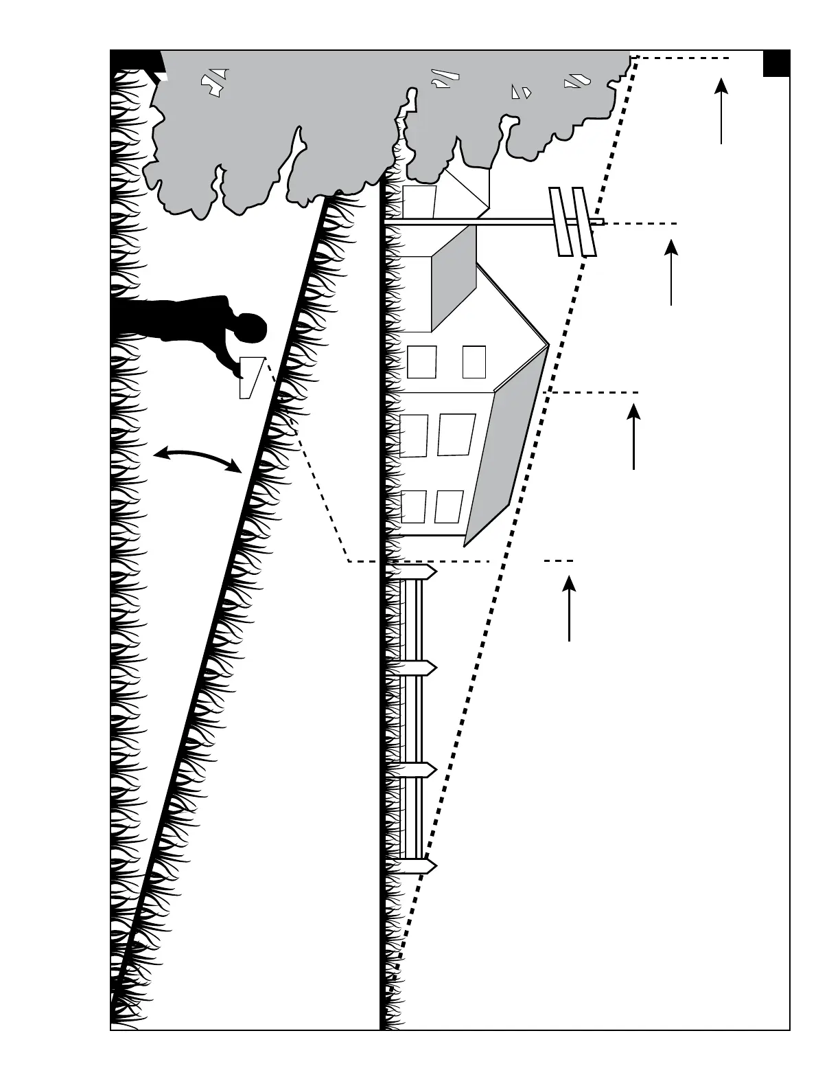 Page #41 background image