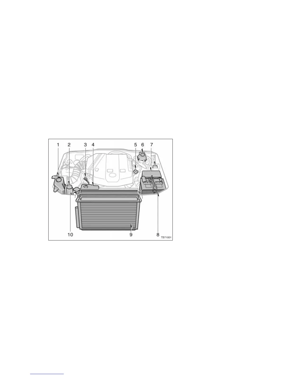 Page #300 background image
