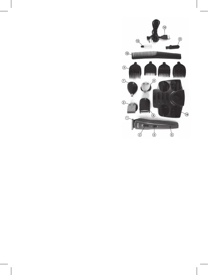 Page #6 background image