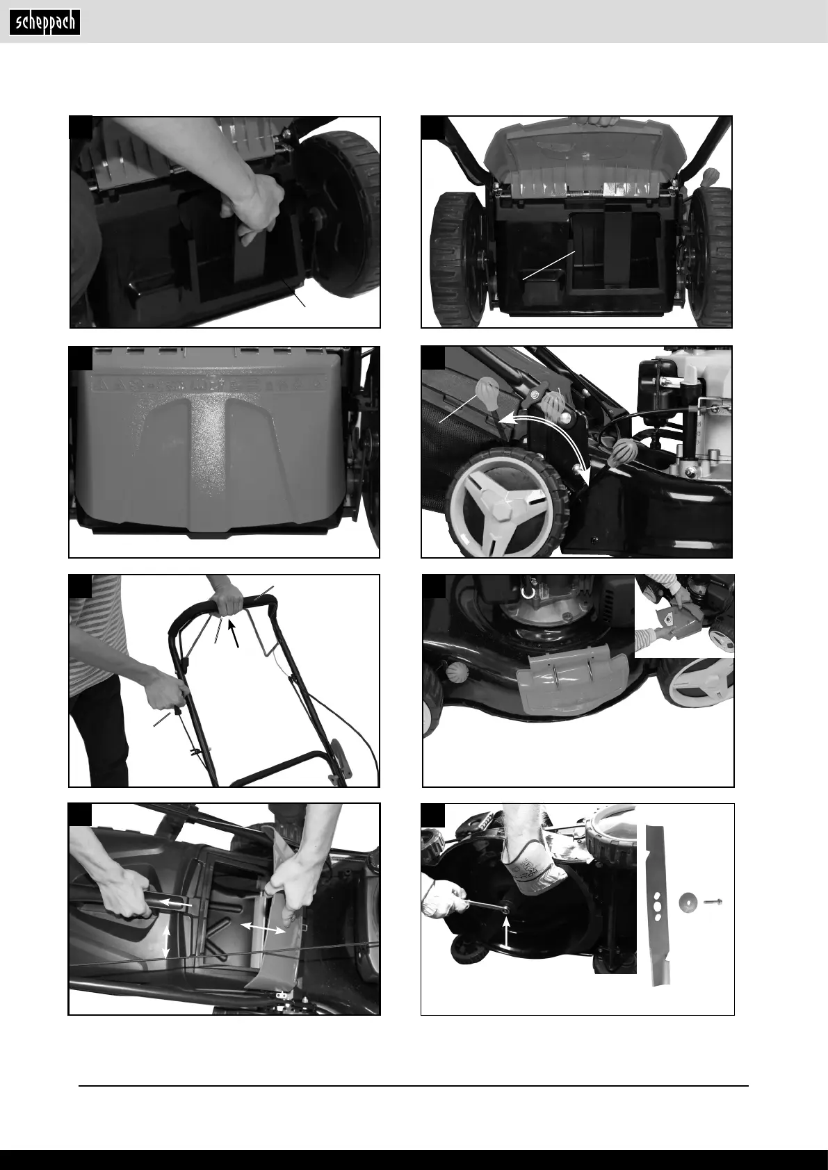 Page #4 background image