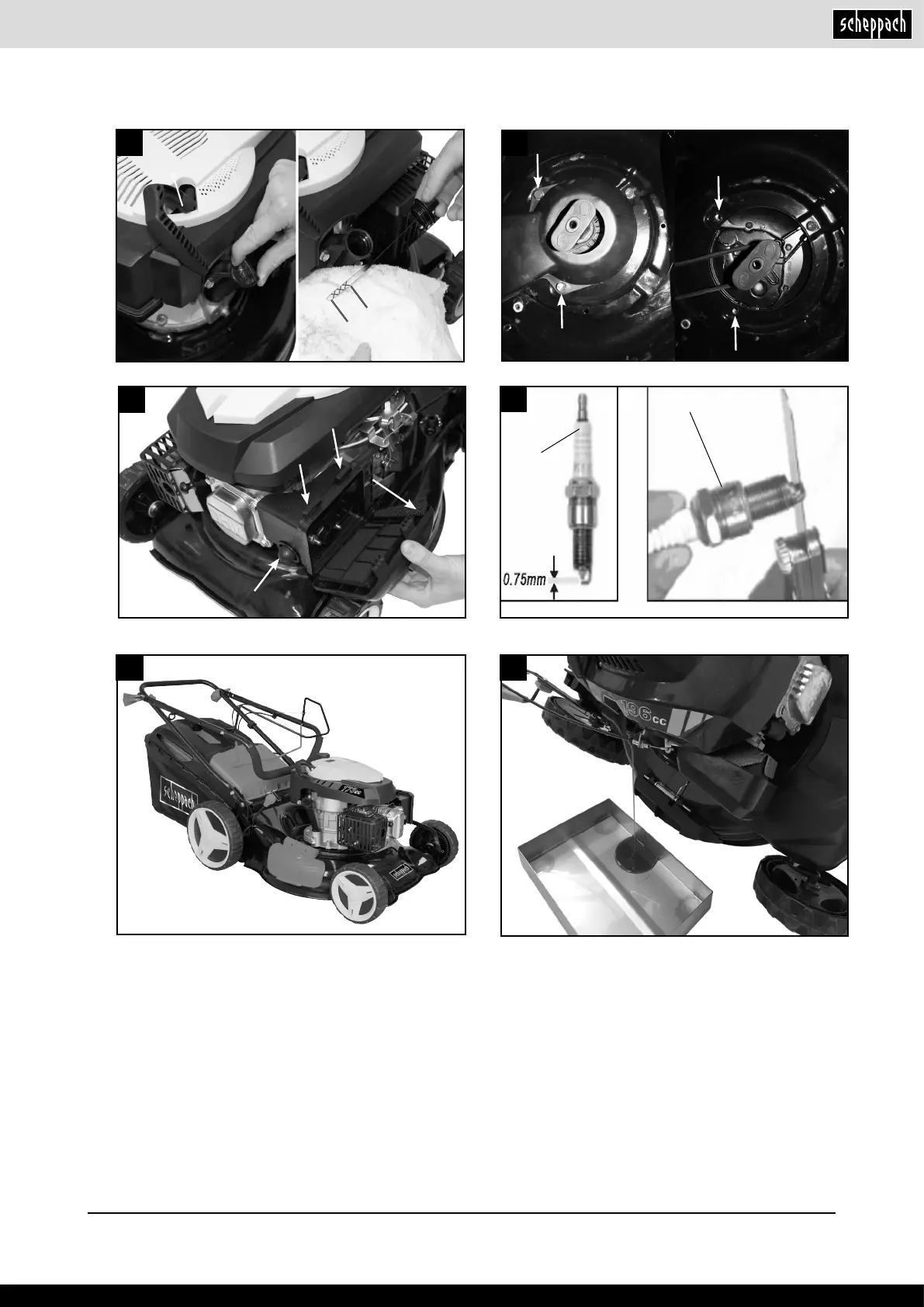 Page #5 background image