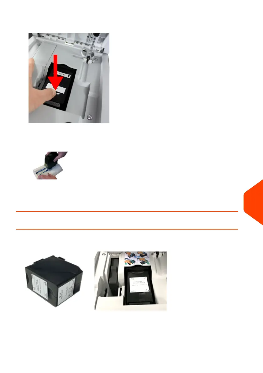 Page #238 background image