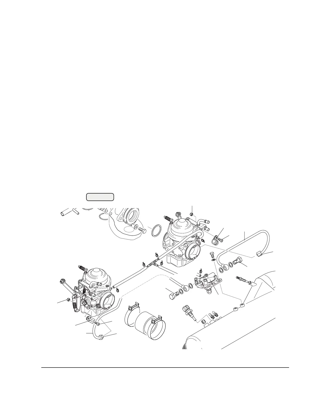 Page #229 background image