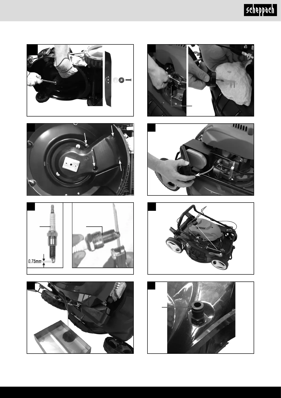 Page #5 background image