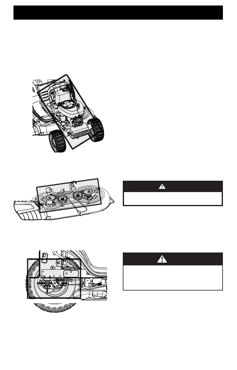 Page #22 background image