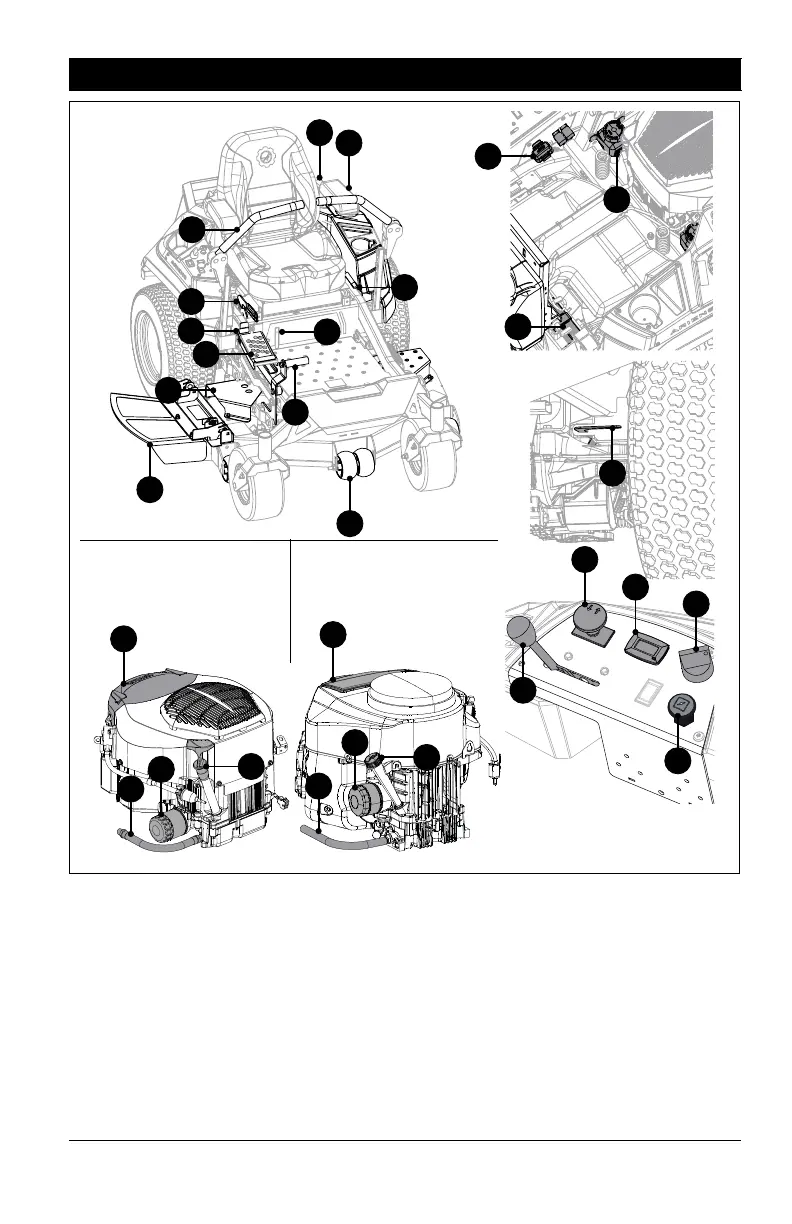Page #15 background image