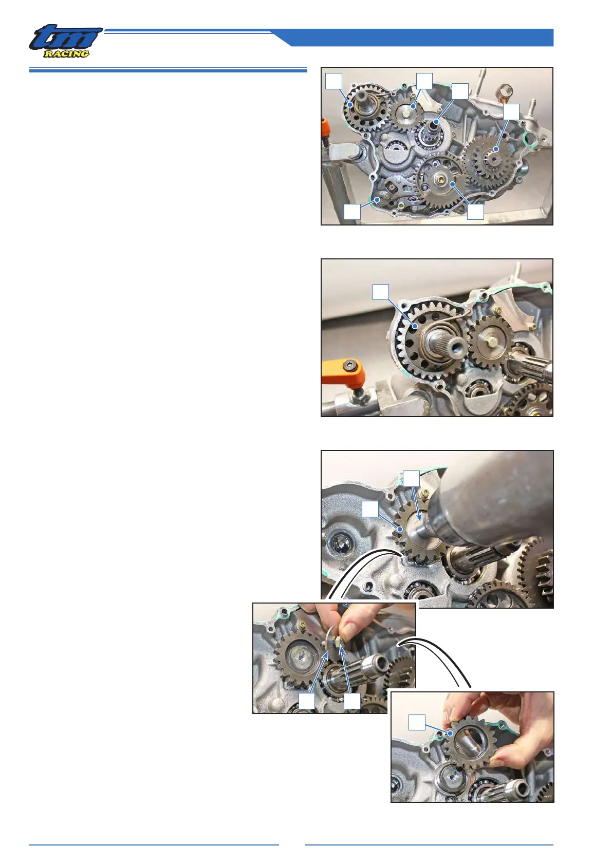 Page #56 background image