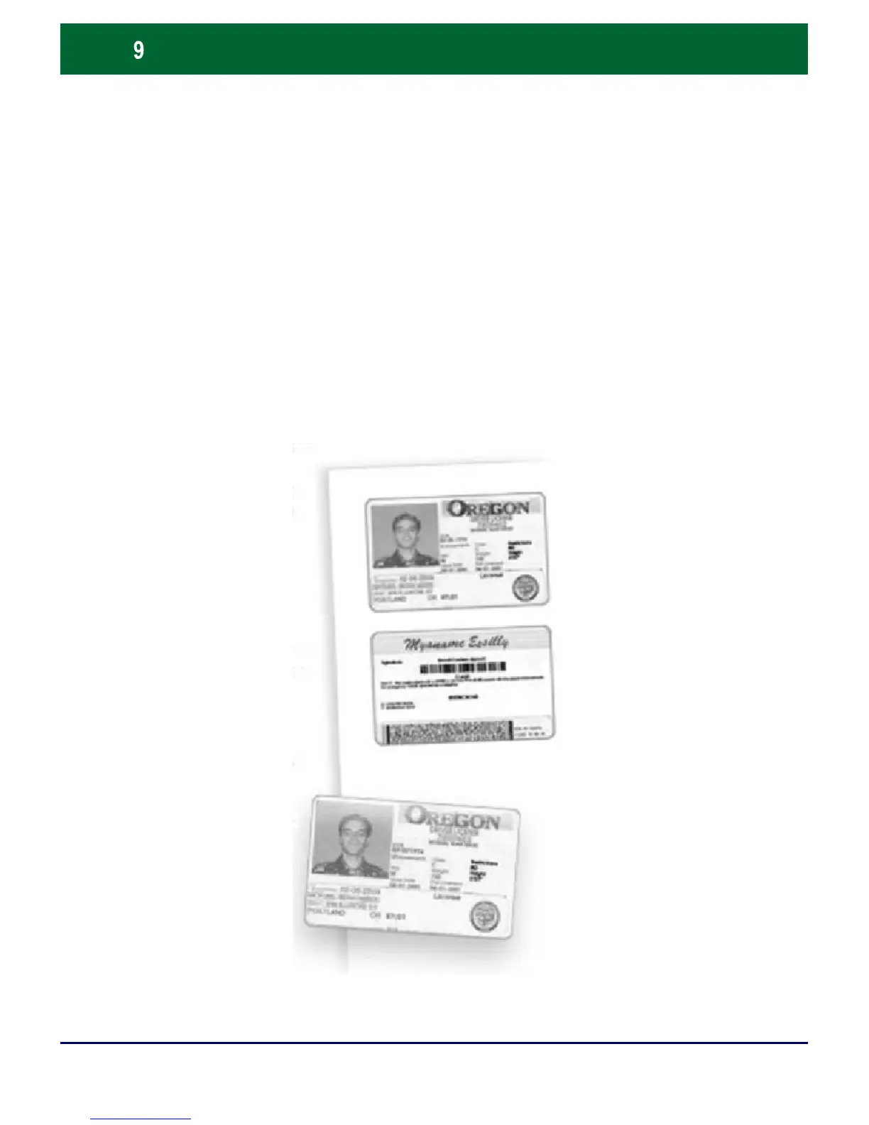 Page #10 background image