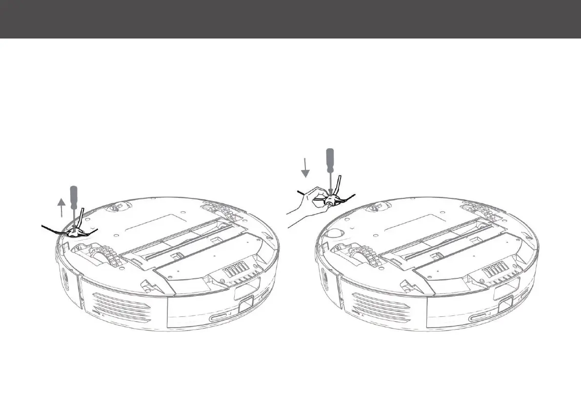 Page #19 background image