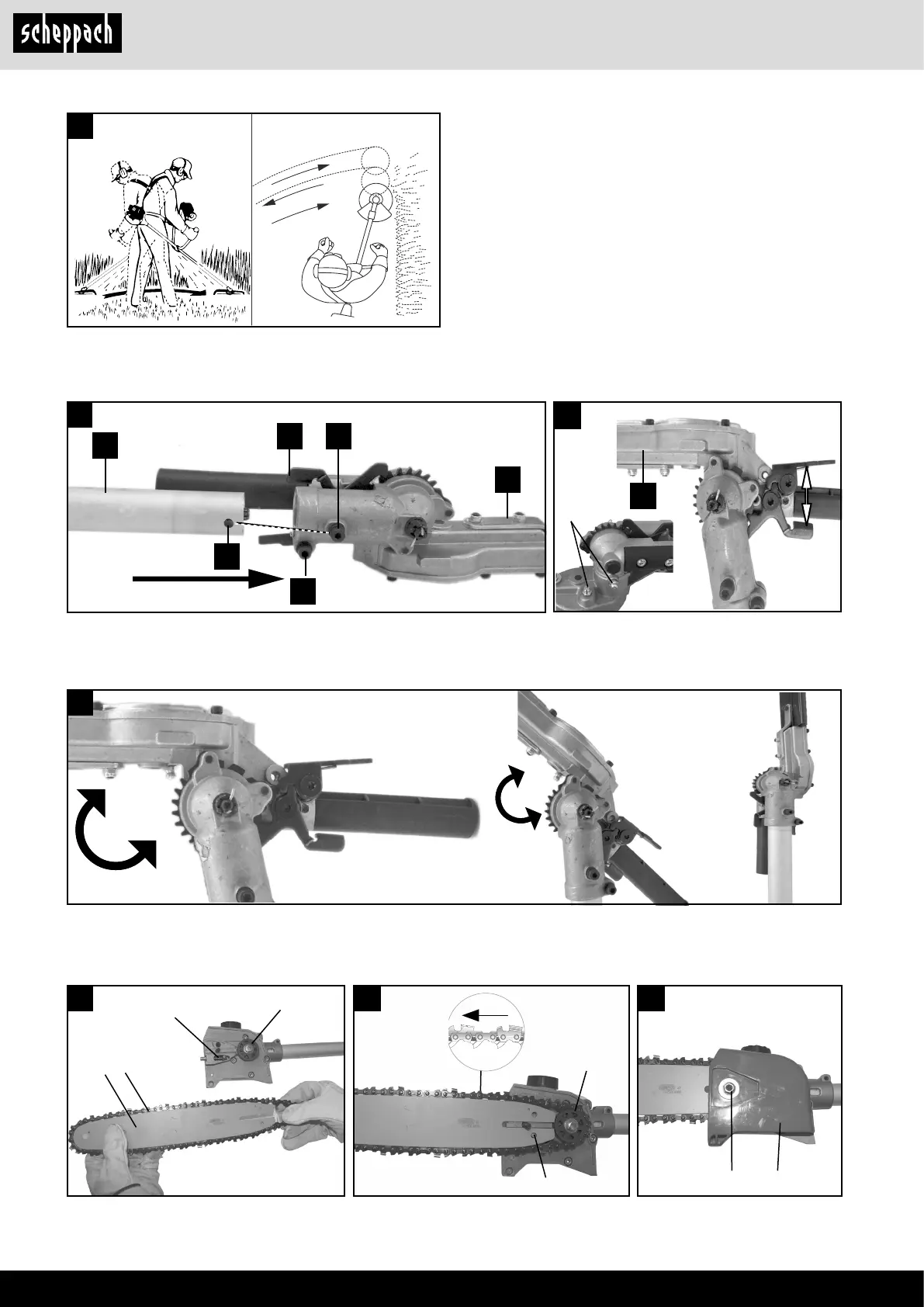 Page #8 background image