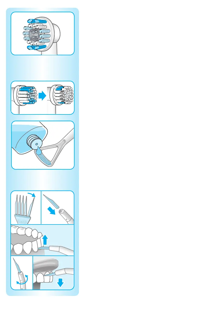 Page #8 background image
