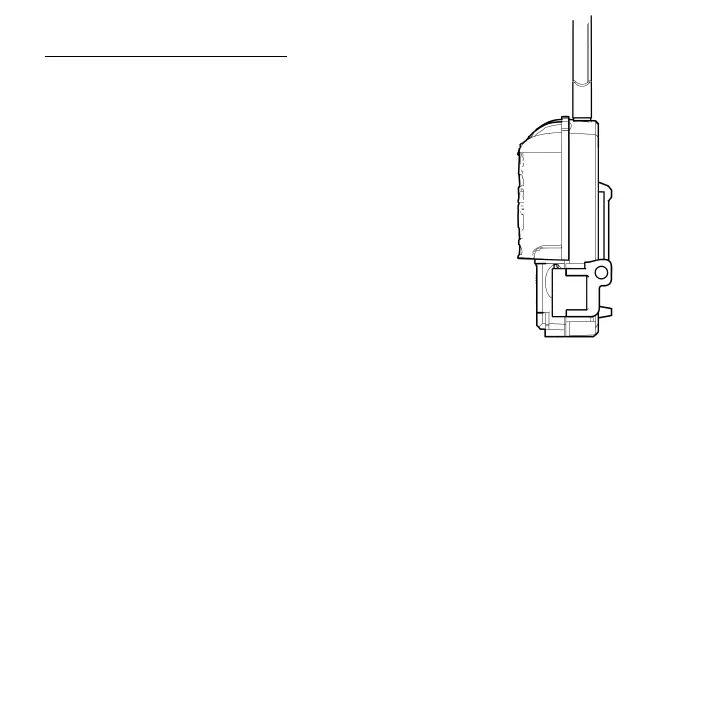 Page #55 background image