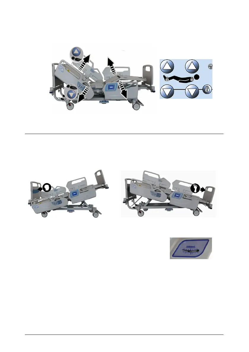 Page #38 background image