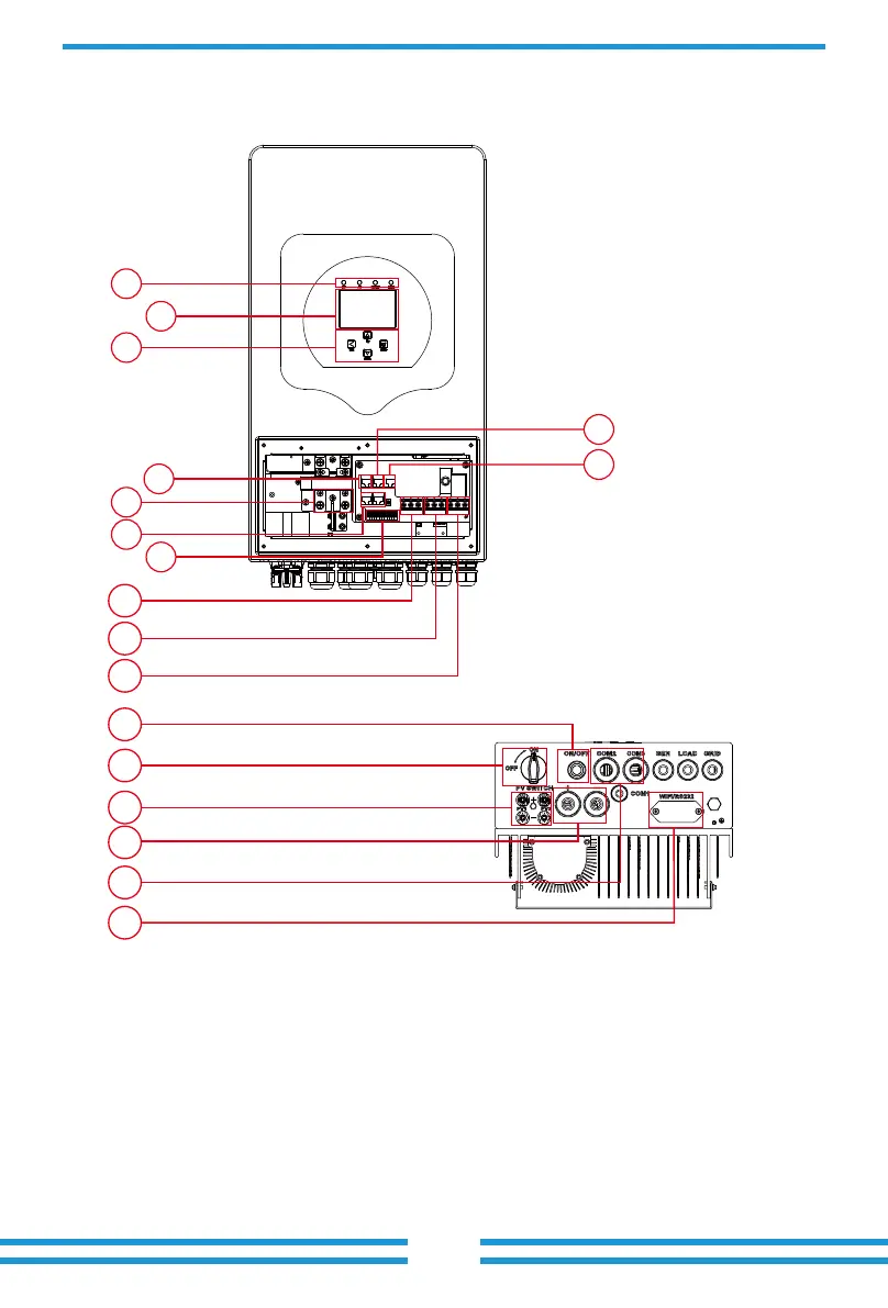 Page #5 background image