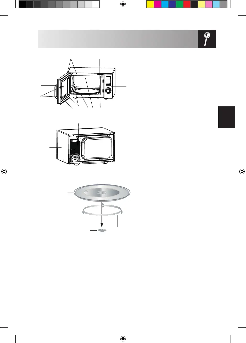 Page #59 background image
