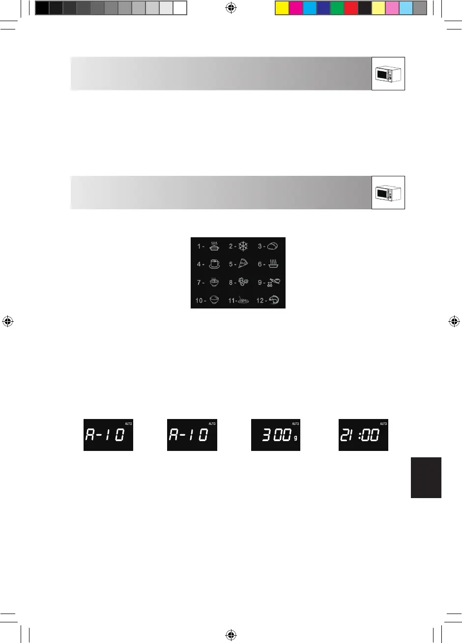 Page #231 background image