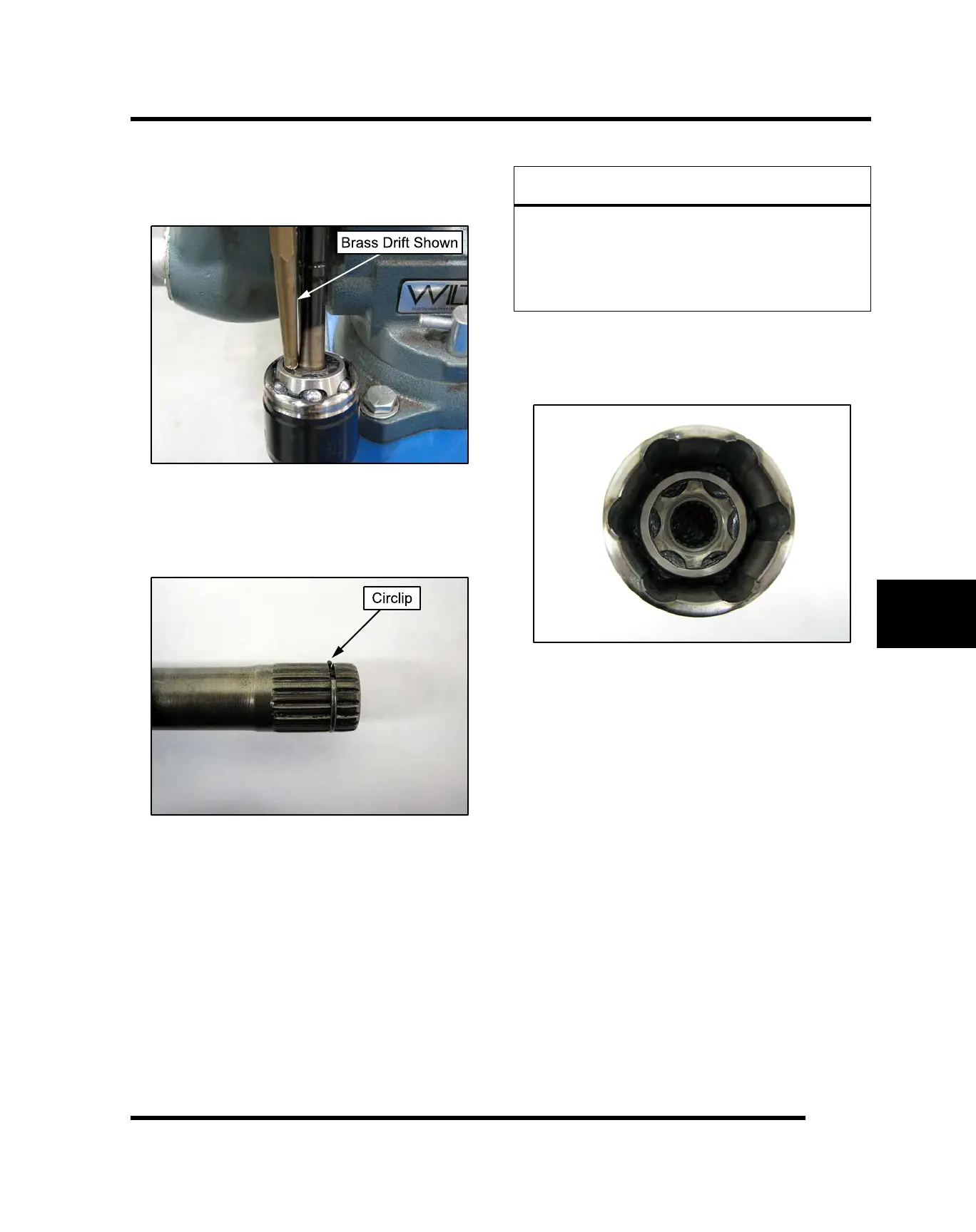 Page #335 background image