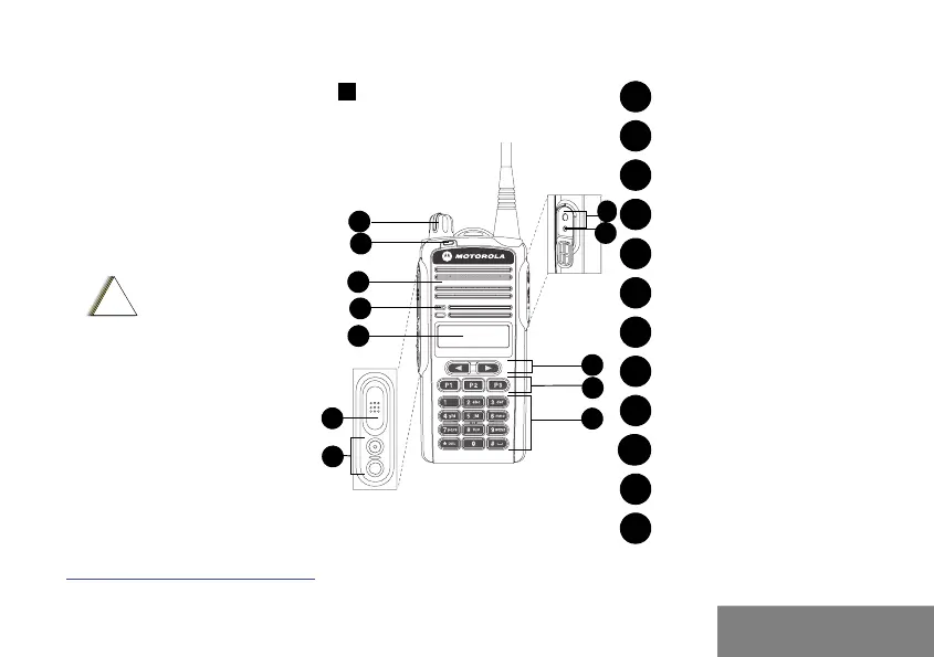 Page #15 background image