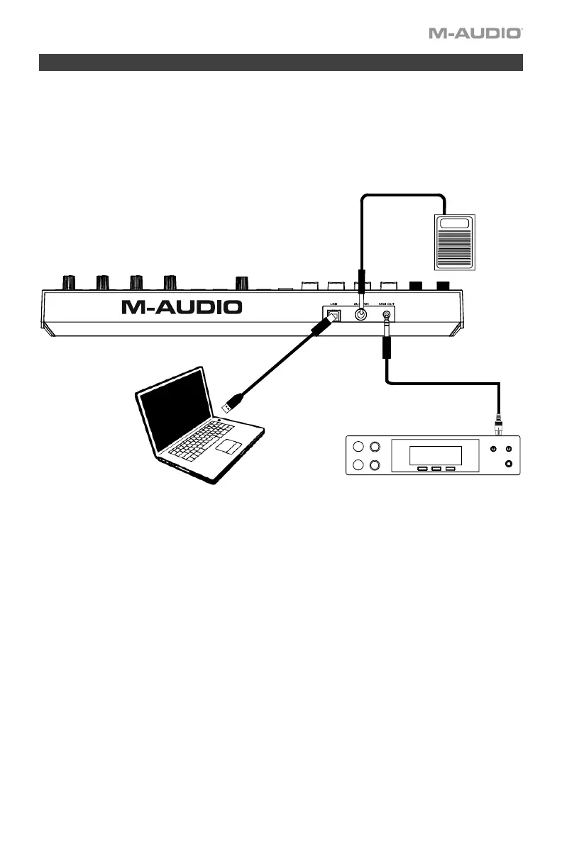 Page #3 background image