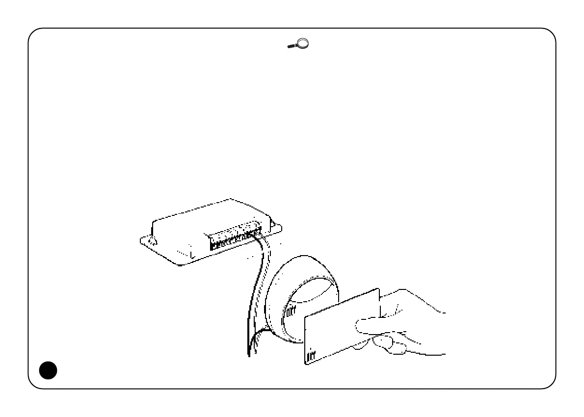 Page #217 background image