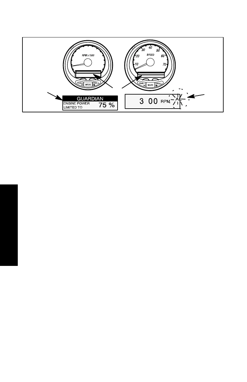 Page #61 background image