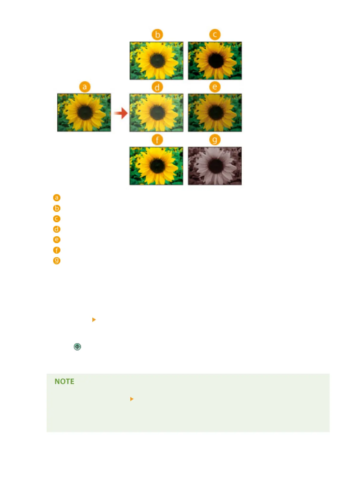 Page #244 background image