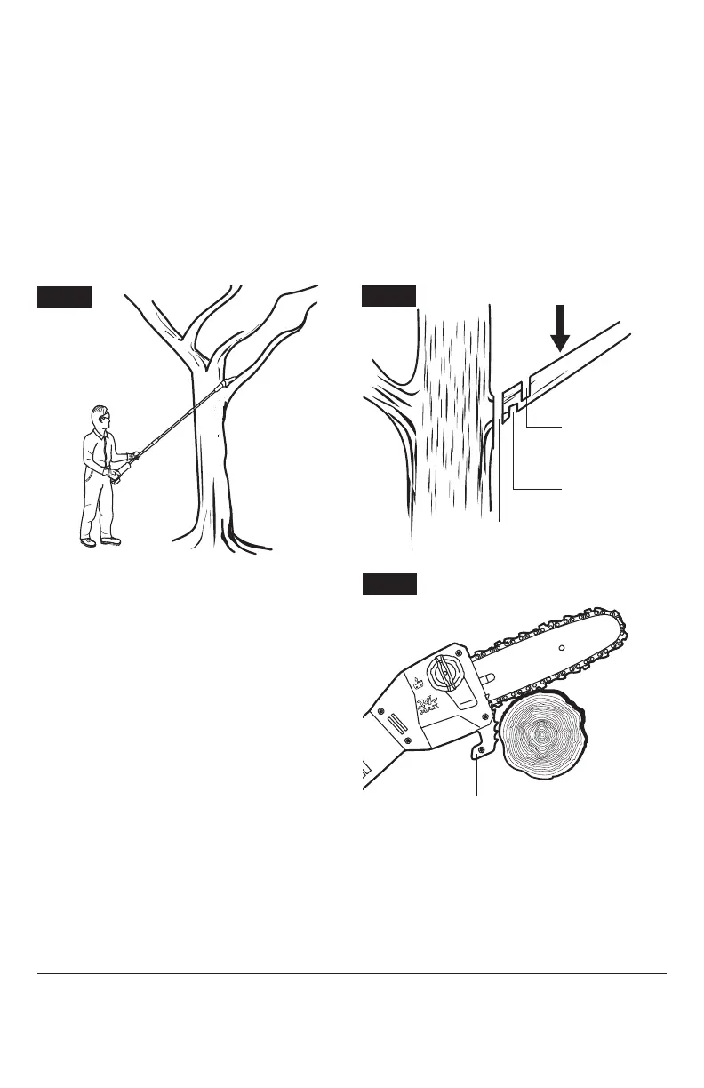 Page #81 background image