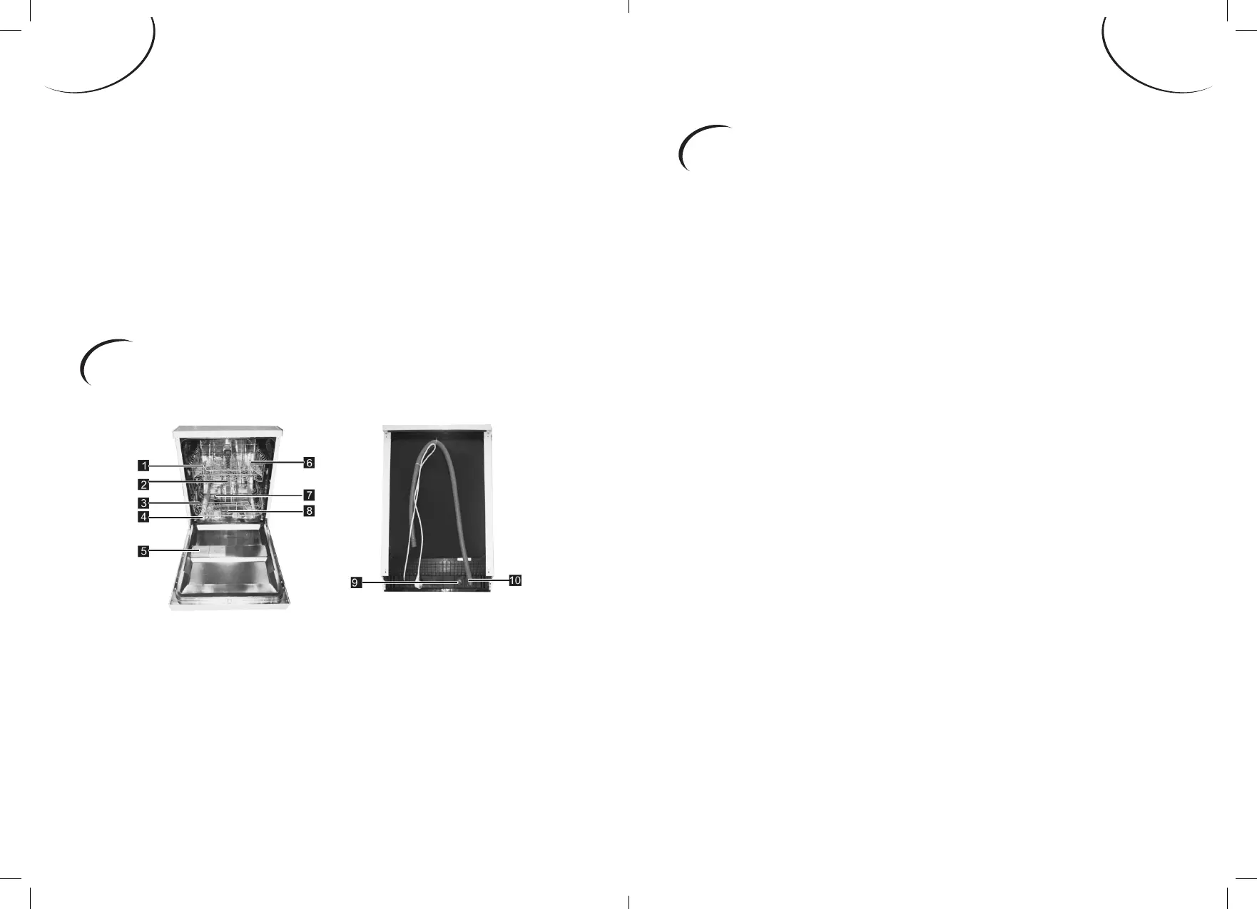 Page #8 background image