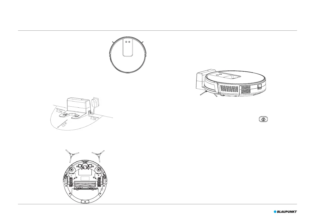 Page #10 background image