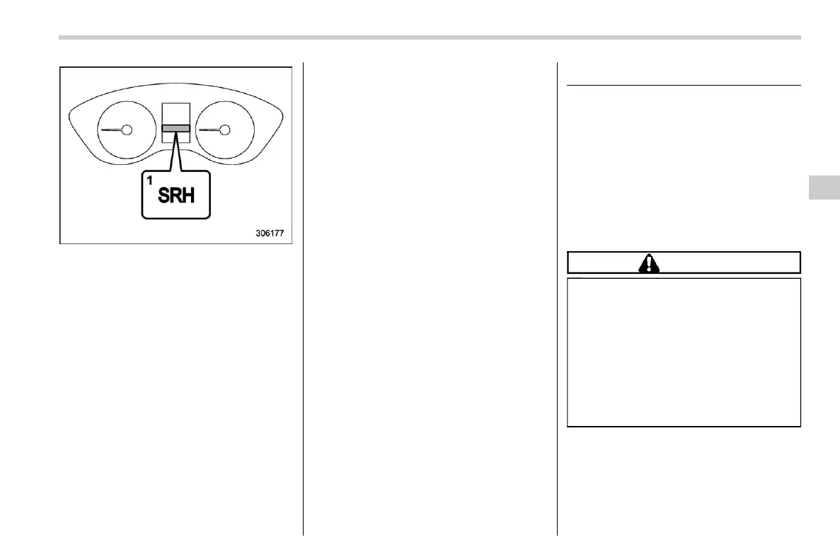 Page #261 background image