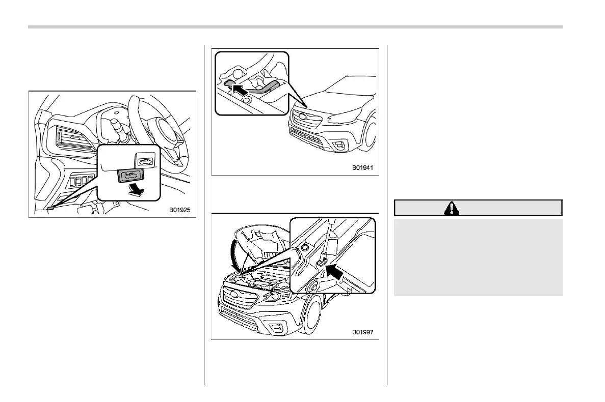 Page #494 background image