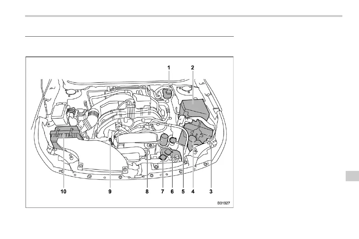 Page #495 background image