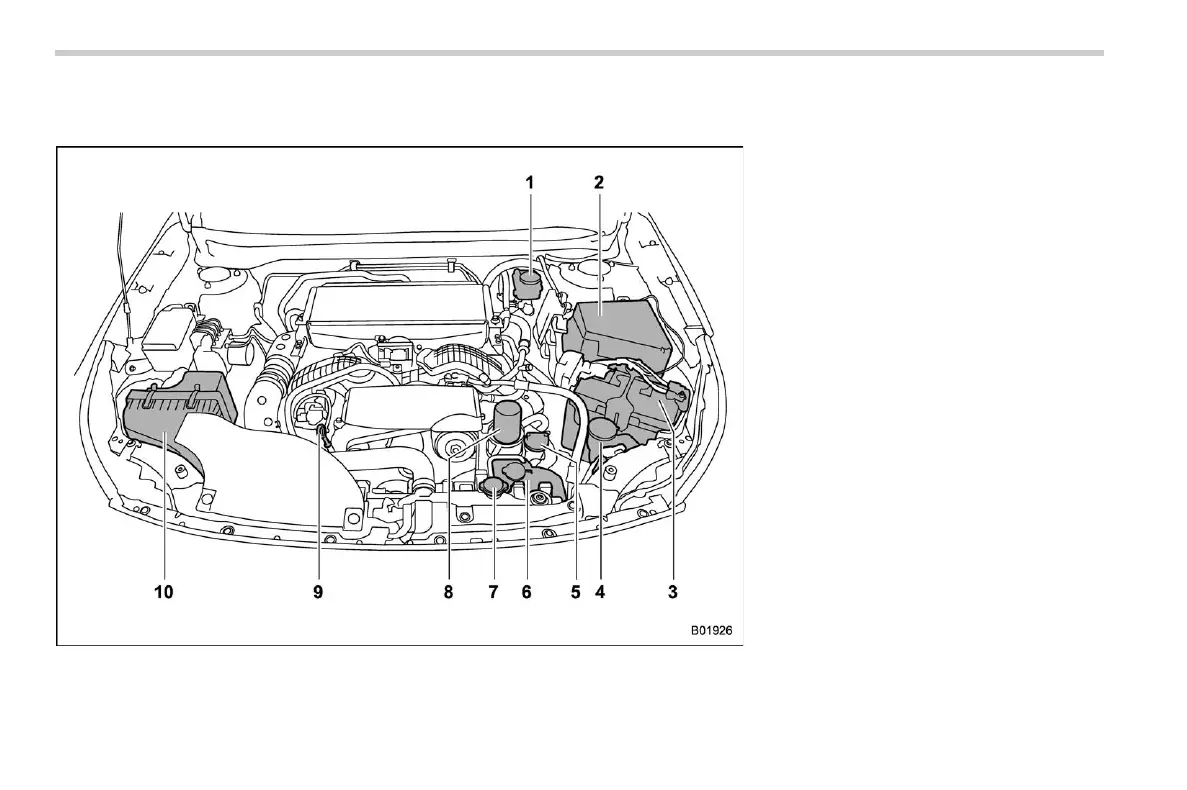 Page #496 background image