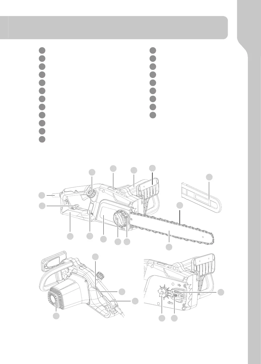 Page #19 background image