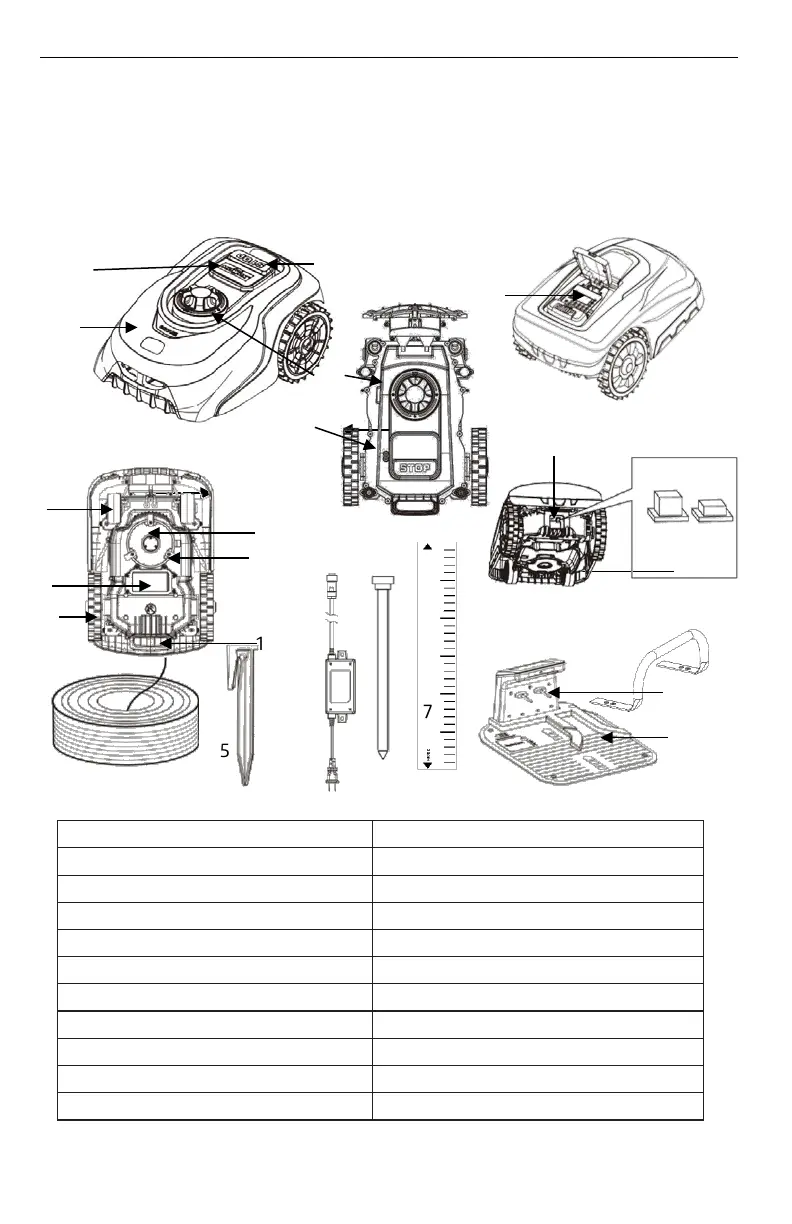 Page #294 background image
