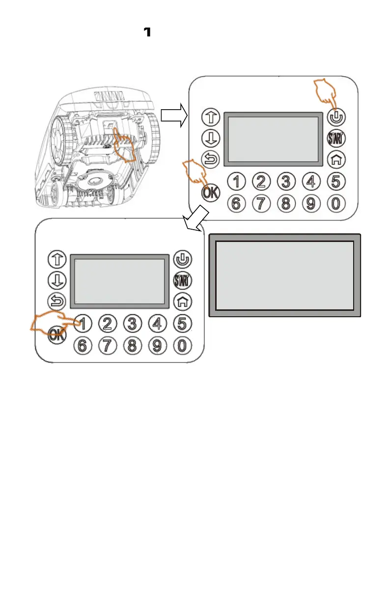 Page #319 background image