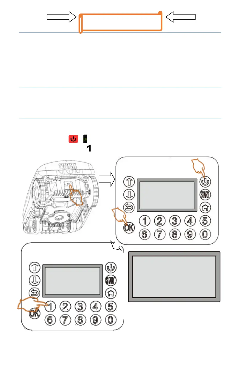 Page #224 background image