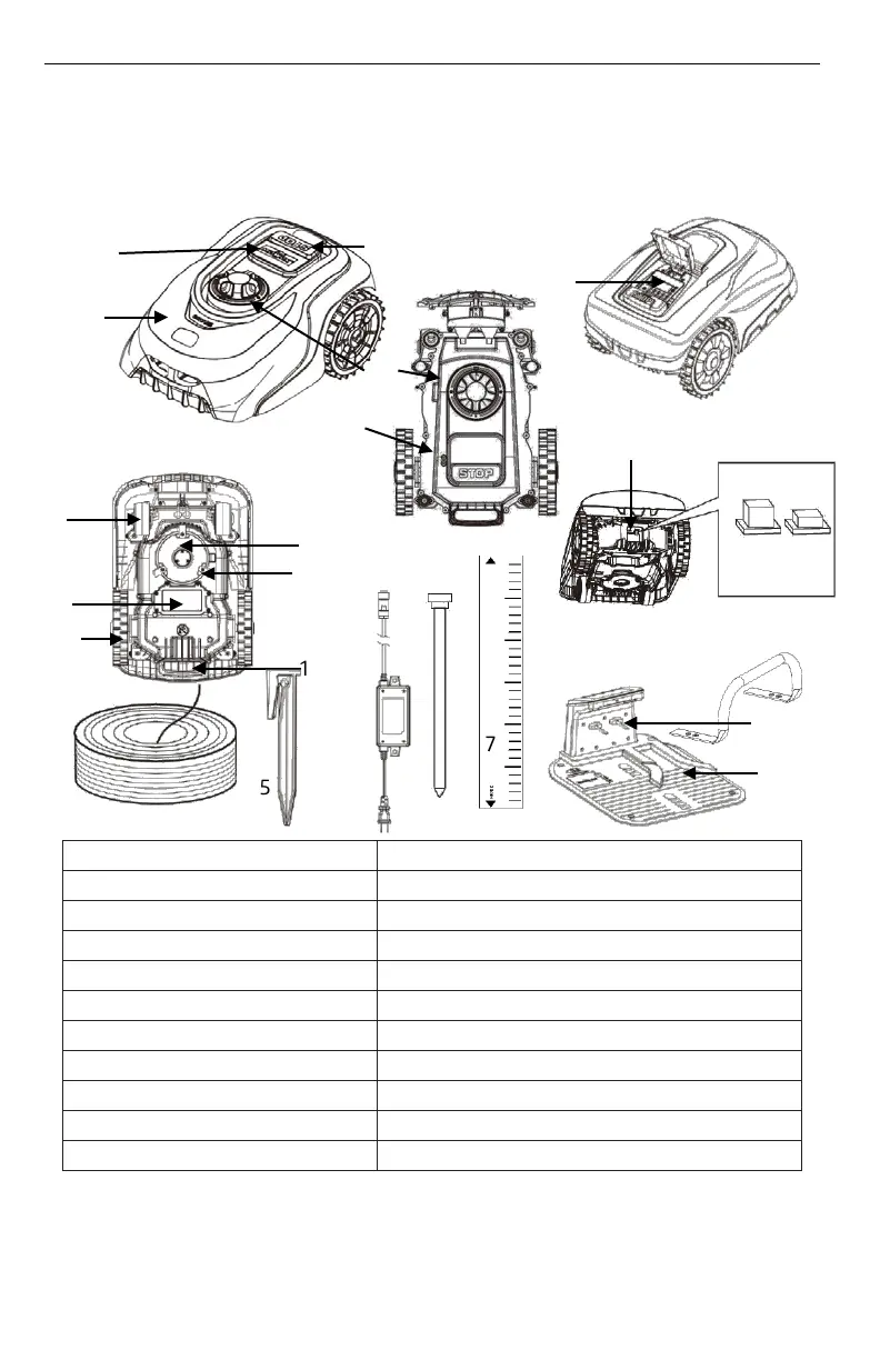Page #247 background image